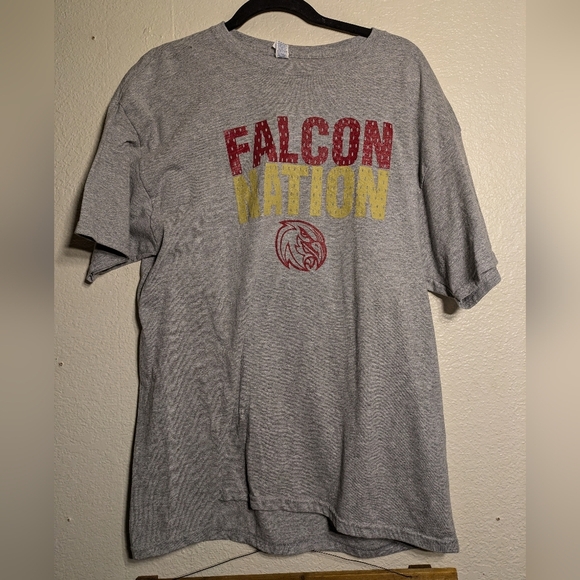Jerzzes Gray Falcon Nation T-Shirt Size Xl - Picture 1 of 8